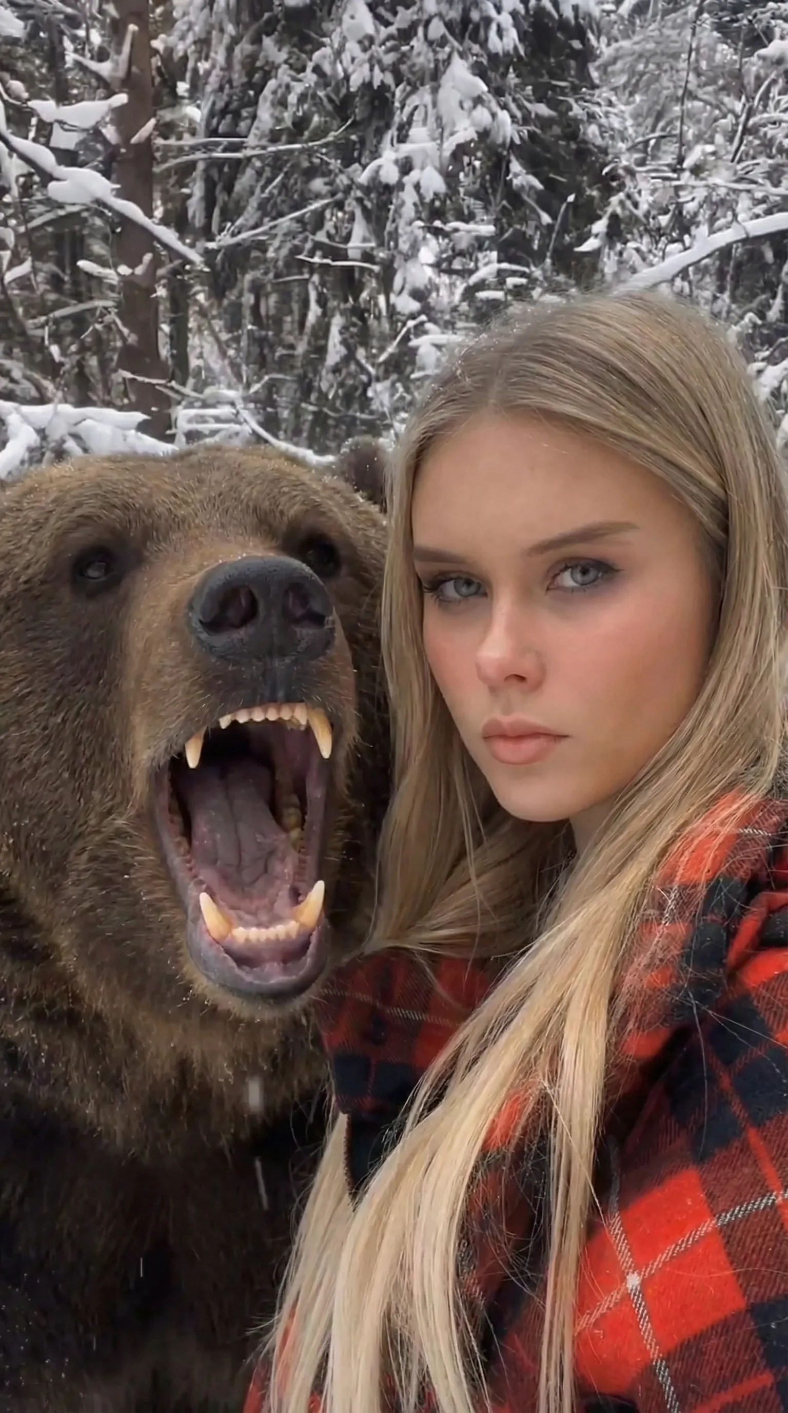 Collab Result Background